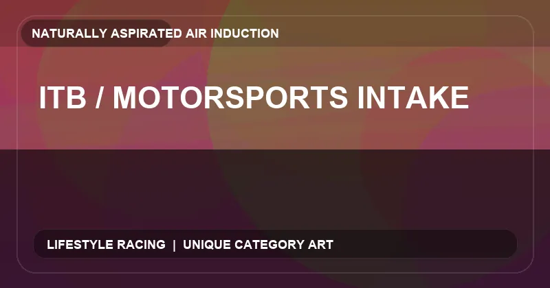 ITB / Motorsports Intake